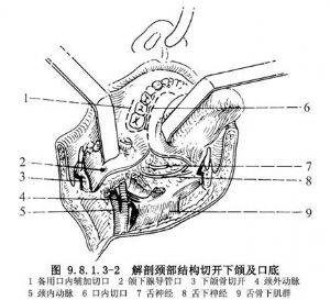 50569澳门永利