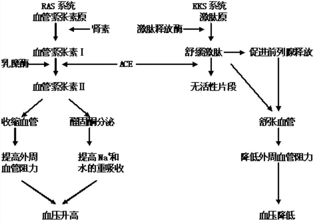 50569澳门永利