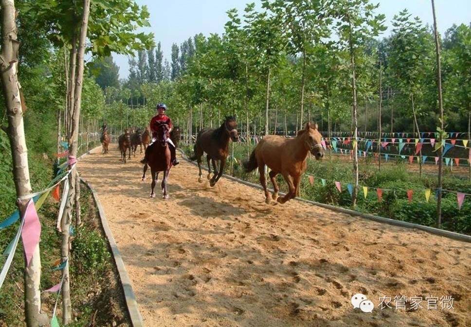 50569澳门永利